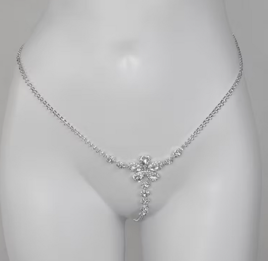Rhinestone Ultra Sparkle Silver Luxury Thong | Sexy Panties