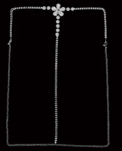 Rhinestone Ultra Sparkle Silver Luxury Thong | Sexy Panties